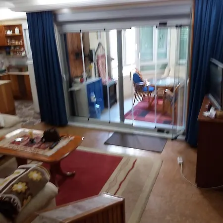 Alis Tansu Avsallar