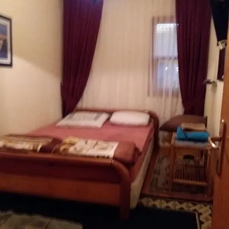 Alis Tansu Avsallar