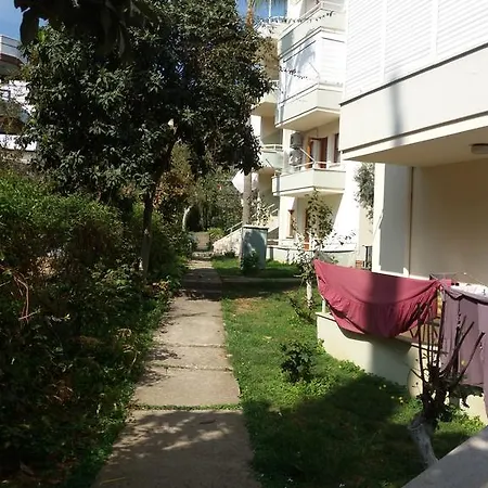 Alis Tansu Lejlighed